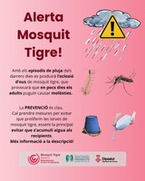 Alerta per possible emergència de mosquit tigre