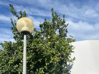 Aprovat el projecte de substitució d’enllumenat d’un àmbit de 25 carrers de Santa Margarida