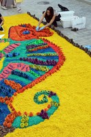 Comerciants, entitats i escoles omplen de flors el centre de Roses amb les tradicionals catifes  de Corpus