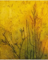 El cicle Mirades Pròpies ofereix una exposició de pintures de Lurdes Portas a Ca l’Anita