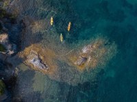 Fotografies guanyadores del Festival Drons N’Roses 