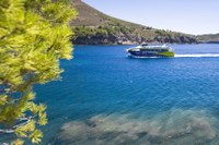 L’Ajuntament adjudica els serveis de transport marítim de viatgers i lloguer de patins a les platges de Roses