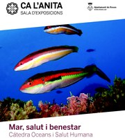 La Càtedra Oceans i Salut Humana de Roses presenta l’exposició "Mar, Salut i Benestar" a Ca l’Anita