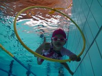 La Piscina Municipal de Roses tanca l’any amb prop de 2000 abonats i reafirma el seu caràcter supramunicipal