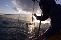 Maria Velasco presenta el seu documental "Diàlegs amb el Mar", al Teatre Municipal de Roses