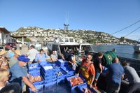 Nova temporada de les visites al port pesquer i a la subhasta de peix, amb taller-degustació final de suquet