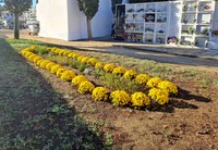 Ornamentacions florals al cementiri de Roses per celebrar Tots Sants 