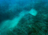 Port de Roses retira antics blocs de fondeig de l’Almadrava i Canyelles i completa la implantació de morts ecològics