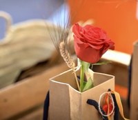 Roses celebrarà Sant Jordi amb parades de roses i llibres, sardanes, espectacle infantil i repartiment de roses
