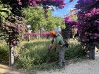 Roses incorpora un equip d’ALTEM al servei de jardineria i recupera el seu compromís social amb l’entitat