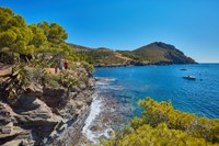 Roses manté viva l’activitat turística aquesta tardor amb un ampli programa d’experiències
