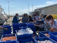 Roses promociona la destinació entre mitjans i agents turístics estatals i internacionals