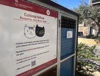 Roses reforça la gestió de colònies de gats amb 430 esterilitzacions i projectes de formació amb voluntaris