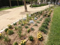 Roses renova la plantació i cromatisme de diferents espais verds del municipi