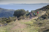 Roses repeteix una trentena d’aparicions en mitjans estatals en un intens maig comunicatiu 