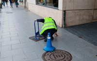Servei municipal de prevenció i control de plagues urbanes