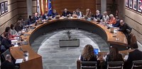 Sessió plenària municipal del mes de març de 2026