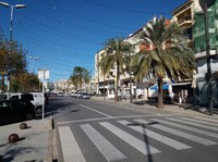 Substitució de 16 palmeres de l’avinguda de Rhode afectades per l’escarabat morrut 