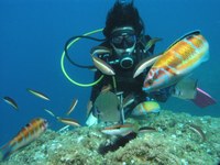 Un estudi de la Càtedra Oceans mostra que bussejar comporta beneficis per a la salut mental de les persones