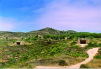 Visit Roses ofereix aquest diumenge una visita guiada virtual als búnquers de Punta Falconera